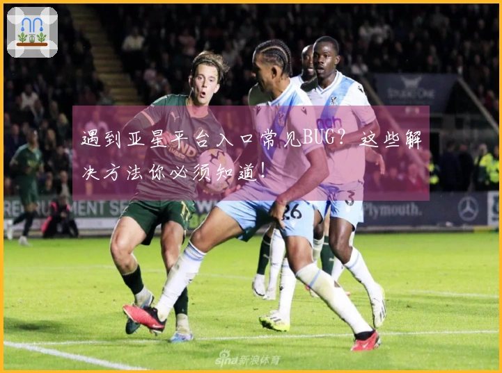 遇到亚星平台入口常见BUG？这些解决方法你必须知道！