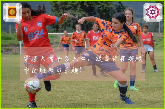 掌握火博平台入口，提高你在游戏中的胜率与乐趣！